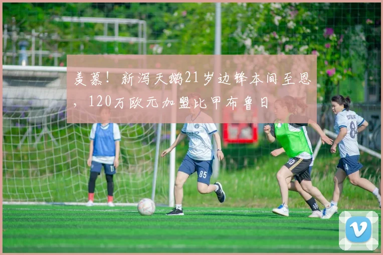 羡慕！新泻天鹅21岁边锋本间至恩，120万欧元加盟比甲布鲁日