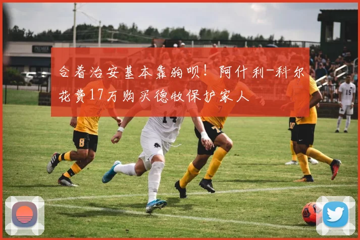 合着治安基本靠狗呗！阿什利-科尔花费17万购买德牧保护家人